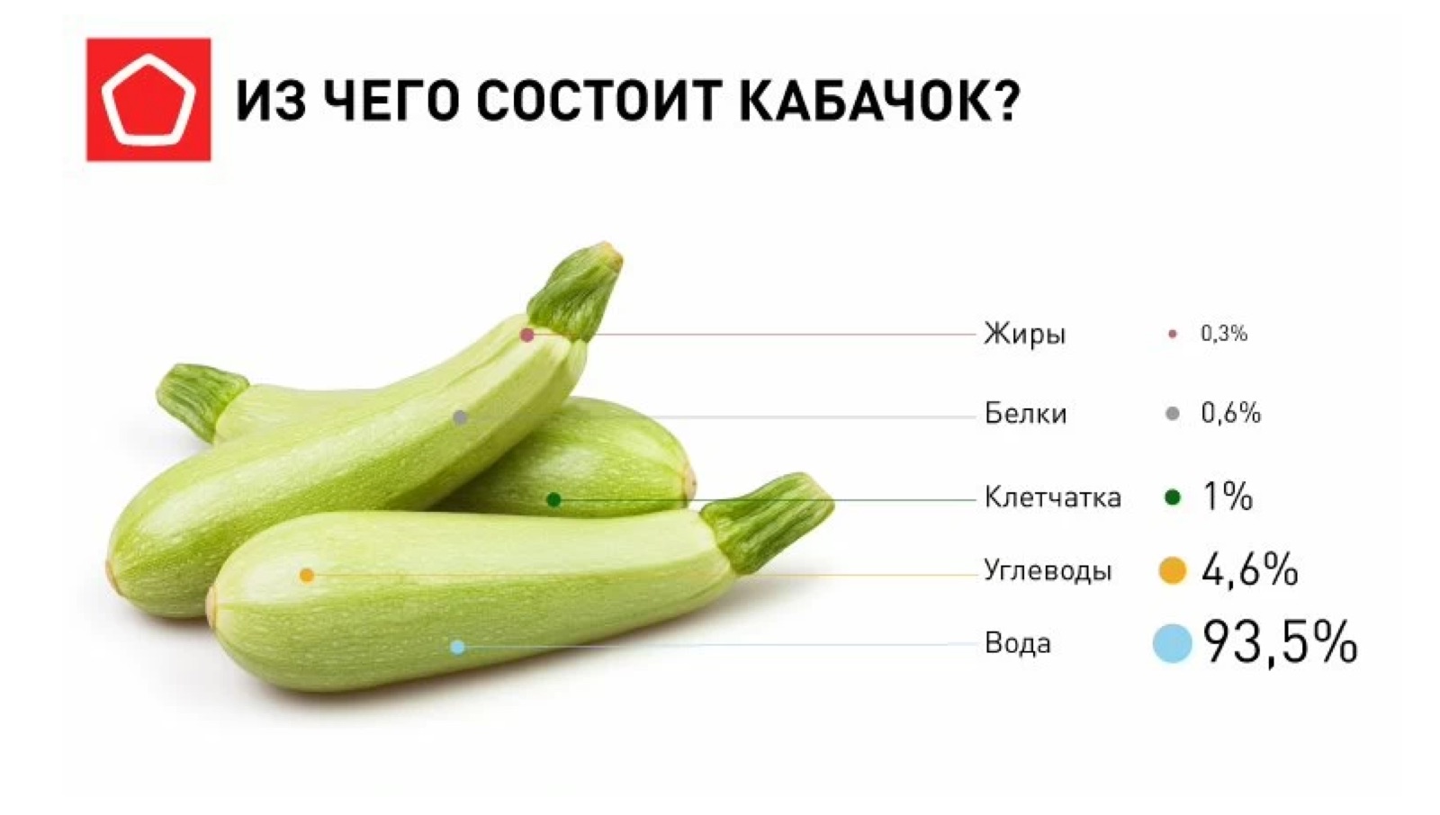 Из чего состоит кабачок